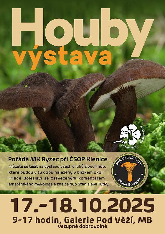 Houby - výstava