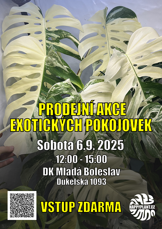 Prodejní akce exotických pokojovek